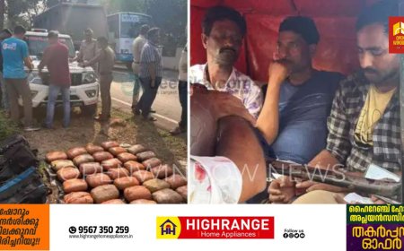 പെരുമ്പാവൂരില്‍ വന്‍ കഞ്ചാവ് വേട്ട; 32 കിലോ കഞ്ചാവുമായി ബംഗാള്‍ സ്വദേശികള്‍ പിടിയില്‍