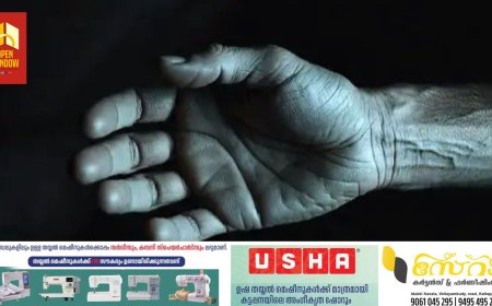 തേങ്ങയിടാന്‍ ശ്രമിക്കുന്നതിനിടെ ഇരുമ്പുതോട്ടി വൈദ്യുതി ലൈനില്‍ തട്ടി; ഗൃഹനാഥന് ദാരുണാന്ത്യം