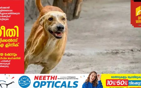 നാദാപുരത്ത് തെരുവ് നായ ആക്രമണത്തില്‍ രണ്ട് പേര്‍ക്ക് പരിക്ക്