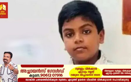 റോഡ് മുറിച്ചു കടക്കുന്നതിനിടെ സ്‌കൂള്‍ വാന്‍ ഇടിച്ച്‌ അപകടം; ആറാം ക്ലാസ് വിദ്യാര്‍ത്ഥിക്ക് ദാരുണാന്ത്യം