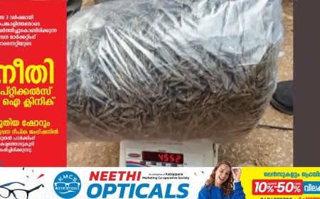 കാളികാവില്‍ നാലര കിലോ കഞ്ചാവുമായി ഇതര സംസ്ഥാന തൊഴിലാളി അറസ്റ്റില്‍