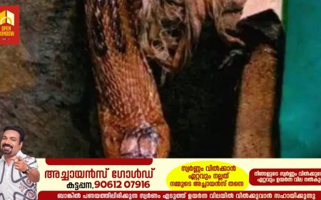 അങ്കണവാടിയില്‍ എട്ടടിയോളം നീളമുള്ള മൂര്‍ഖന്‍; പാത്രങ്ങള്‍ക്കിടയില്‍ പത്തിവിരിച്ച നിലയില്‍ കണ്ടത് ഹെല്‍പ്പര്‍