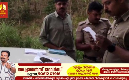 ഇരട്ടയാർ ഗ്രാമപഞ്ചായത്തിന്റെ പരിസരപ്രദേശങ്ങളിൽ ലഹരി മാഫിയ പിടിമുറുക്കുന്നു. ലഹരി മാഫിയ പിടികൂടാൻ പോലീസിന്റെയും എക്സൈസിന്റെയും നേതൃത്വത്തിൽ പരിശോധനകൾ ശക്തമാക്കുമ്പോഴും കഞ്ചാവ് അടക്കമുള്ളവയുടെ വിപണനത്തിന് പുതിയ വഴികൾ തേടുകയാണ് വിപണനക്കാർ