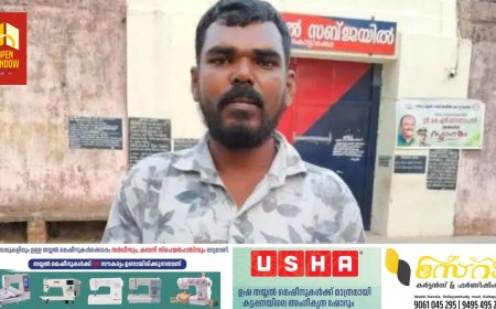 മാല പൊട്ടിച്ച്‌ 'പമ്പ കടക്കാന്‍' ശ്രമം; ആറ്റില്‍ ചാടി പിടിച്ച്‌ ആറന്‍മുള പോലീസ്