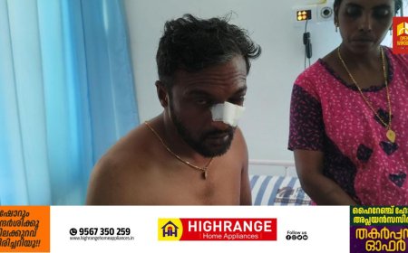 ഇടുക്കിയിൽ  വീണ്ടും കാട്ടാന ആക്രമണം ;ചിന്നക്കനാലിൽ യുവാവിനെ കാട്ടാന തുമ്പികൈ കൊണ്ട് അടിച്ചു വീഴ്ത്തി.