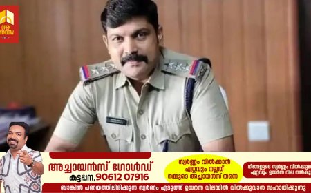 മലപ്പുറത്ത് പ്രതിയെ പിടികൂടുന്നതിനിടെ സിഐയ്ക്ക് കുത്തേറ്റു