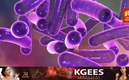 കോഴിക്കോട് മൂന്നര വയസുകാരി ഷിഗല്ല ബാധിച്ച്‌ മരിച്ചു; മൂന്ന് കുട്ടികള്‍ക്ക് രോഗ ലക്ഷണം