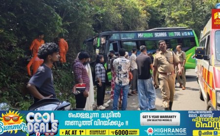 പാഞ്ചാലിമേടിന് സമീപം വിനോദസഞ്ചാരികളുടെ മിനി ബസ് അപകടത്തിൽപ്പെട്ടു; 9 പേർക്ക് പരിക്ക്