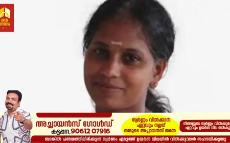 പാലക്കാട് നിയന്ത്രണം വിട്ട കാര്‍ ബൈക്കിലിടിച്ച്‌ അദ്ധ്യാപിക മരിച്ചു