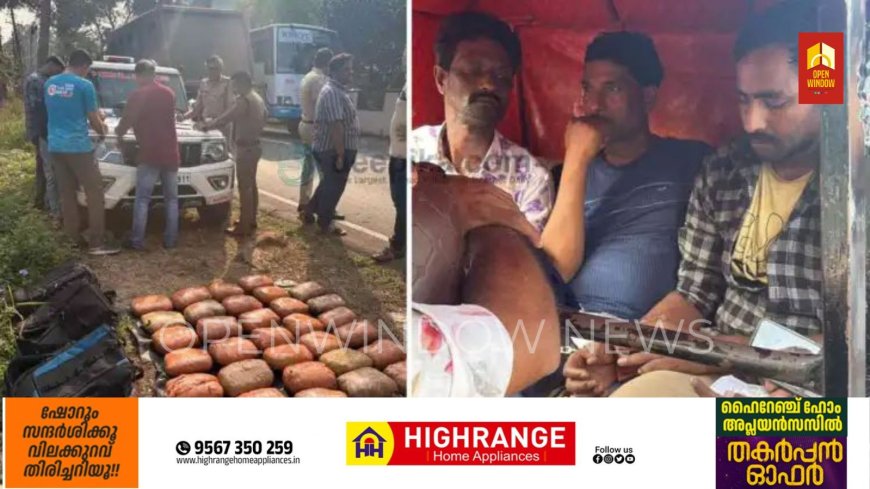 പെരുമ്പാവൂരില്‍ വന്‍ കഞ്ചാവ് വേട്ട; 32 കിലോ കഞ്ചാവുമായി ബംഗാള്‍ സ്വദേശികള്‍ പിടിയില്‍