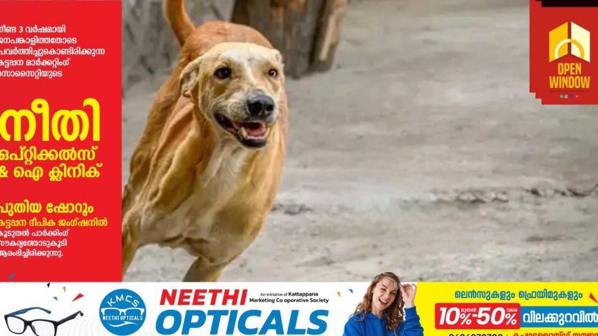 നാദാപുരത്ത് തെരുവ് നായ ആക്രമണത്തില്‍ രണ്ട് പേര്‍ക്ക് പരിക്ക്