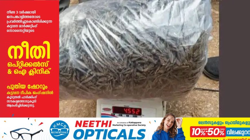 കാളികാവില്‍ നാലര കിലോ കഞ്ചാവുമായി ഇതര സംസ്ഥാന തൊഴിലാളി അറസ്റ്റില്‍