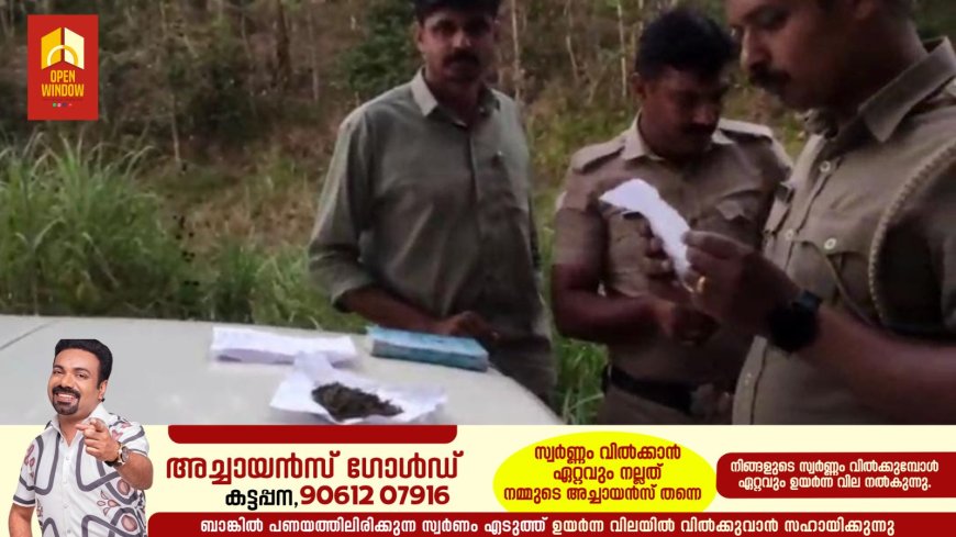 ഇരട്ടയാർ ഗ്രാമപഞ്ചായത്തിന്റെ പരിസരപ്രദേശങ്ങളിൽ ലഹരി മാഫിയ പിടിമുറുക്കുന്നു. ലഹരി മാഫിയ പിടികൂടാൻ പോലീസിന്റെയും എക്സൈസിന്റെയും നേതൃത്വത്തിൽ പരിശോധനകൾ ശക്തമാക്കുമ്പോഴും കഞ്ചാവ് അടക്കമുള്ളവയുടെ വിപണനത്തിന് പുതിയ വഴികൾ തേടുകയാണ് വിപണനക്കാർ