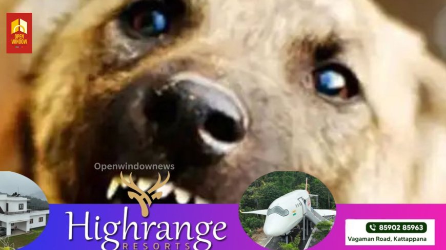 എരുമപ്പെട്ടിയില്‍ വയോധികയെ കടിച്ചു കൊന്ന നായയെ പിടികൂടി