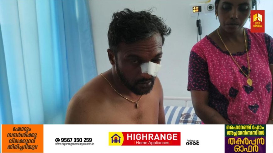 ഇടുക്കിയിൽ  വീണ്ടും കാട്ടാന ആക്രമണം ;ചിന്നക്കനാലിൽ യുവാവിനെ കാട്ടാന തുമ്പികൈ കൊണ്ട് അടിച്ചു വീഴ്ത്തി.