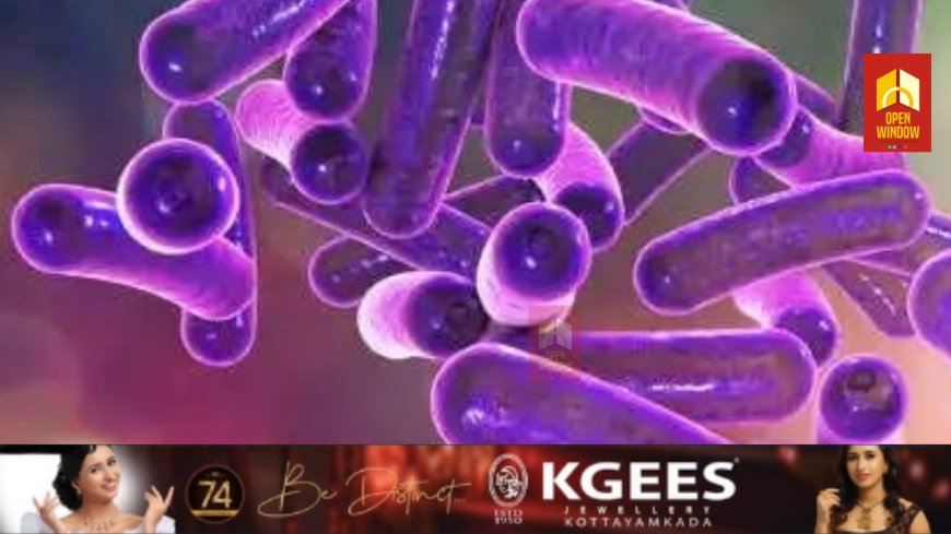 കോഴിക്കോട് മൂന്നര വയസുകാരി ഷിഗല്ല ബാധിച്ച്‌ മരിച്ചു; മൂന്ന് കുട്ടികള്‍ക്ക് രോഗ ലക്ഷണം