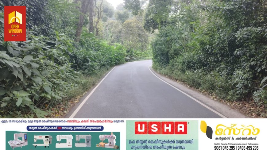 കട്ടപ്പന - ആനവിലാസം - കുമളി റോഡിന്റെ ഇരുവശങ്ങളും കാടുമൂടി അപകടങ്ങൾ വർദ്ധിക്കുന്നു