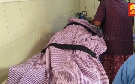 ഇടുക്കിയിൽ കടന്നൽ കുത്തേറ്റ് കർഷകൻ മരിച്ചു. തമിഴ്നാട് പണ്ണപ്പുറം സ്വദേശി ബി. സുബ്രഹ്മണിയാണ് മരിച്ചത്.