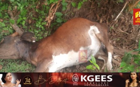 മറയൂരില്‍ ജനവാസ മേഖലയില്‍ വന്യജീവിയാക്രമണം തുടരുന്നു
