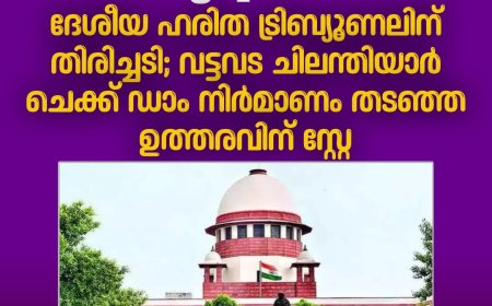 സംസ്ഥാന സർക്കാരിന് സുപ്രീം കോടതിയിൽ ആശ്വാസം, ദേശീയ ഹരിത ട്രിബ്യൂണലിന് തിരിച്ചടി; വട്ടവട ചിലന്തിയാർ ചെക്ക് ഡാം നിർമാണം തടഞ്ഞ ഉത്തരവിന് സ്റ്റേ