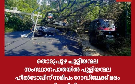 തൊടുപുഴ പുളിയന്മല സംസ്ഥാനപാതയിൽ പുളിയന്മല ഹിൽടോപ്പിന് സമീപം റോഡിലേക്ക് മരം ഒടിഞ്ഞ് വീണു. ബൈക്ക് യാത്രികൻ തലനാരിഴക്ക് ഇടയ്ക്ക് രക്ഷപ്പെട്ടു