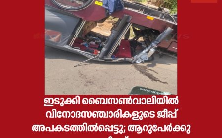 ഇടുക്കി ബൈസൺവാലിയിൽ വിനോദസഞ്ചാരികളുടെ ജീപ്പ് അപകടത്തിൽപ്പെട്ടു; ആറുപേർക്കു പരിക്ക്