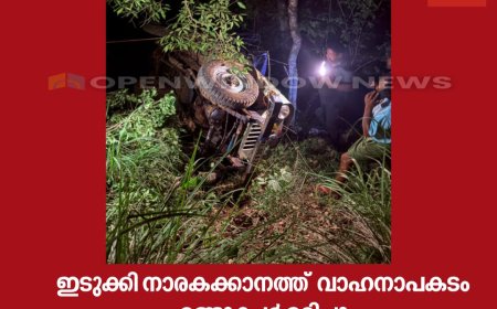 ഇടുക്കി നാരകക്കാനത്ത് ജീപ്പ് കൊക്കയിലേക്ക് മറിഞ്ഞ് അപകടം.
ഒരു സ്ത്രീയും ആറുമാസം പ്രായമുള്ള കുഞ്ഞും  മരിച്ചു.