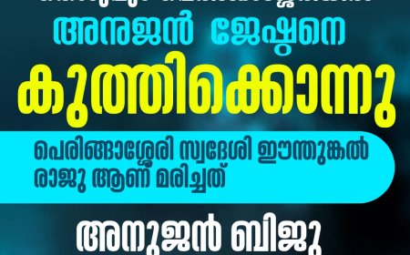 തൊടുപുഴ ഉടുമ്പന്നൂർ പെരിങ്ങാശ്ശേരിയില്‍ അനുജന്‍ ജേഷ്ഠനെ കുത്തിക്കൊന്നു.  പെരിങ്ങാശ്ശേരി സ്വദേശി ഈന്തുങ്കല്‍ രാജു ആണ് മരിച്ചത്.