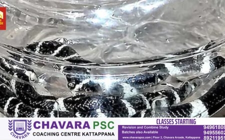 പാമ്പു കടിയേറ്റു മരിച്ച അൽജോയുടെ വീട്ടിൽ നാലാം ദിനവും പാമ്പ്; ഒന്നല്ല, രണ്ട്; വീടിന്റെ തറ പൊളിക്കും