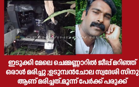 ഇടുക്കി മേലെ ചെമ്മണ്ണാറിൽ ജീപ്പ് മറിഞ്ഞ് ഒരാൾ മരിച്ചു ;ഉടുമ്പൻചോല സ്വദേശി സിനു ആണ് മരിച്ചത്.മൂന്ന് പേർക്ക് പരുക്ക്