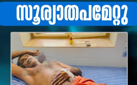 ഇടുക്കിയിൽ രണ്ട് പേർക്ക് സൂര്യാതപമേറ്റു