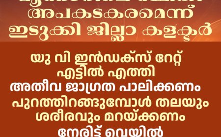 കനത്ത ചൂടുമൂലം മൂന്നാറിലെ സ്ഥിതി അപകടകരമെന്ന് ഇടുക്കി ജില്ല കളക്ടർ ദിനേശൻ ചെറുവാട്ട്. യു വി ഇൻഡക്സ് റേറ്റ് എട്ടിൽ എത്തി.
അതീവ ജാഗ്രത പാലിക്കണമെന്നും  ജില്ലാ കലക്ടർ അറിയിച്ചു.