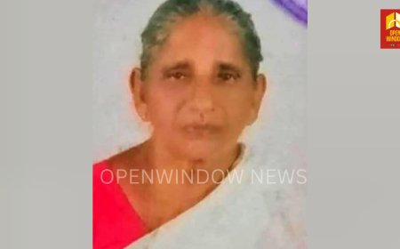 ഇടുക്കിയിൽ വയോധിക
പാമ്പുകടിയേറ്റ് മരിച്ചു.  കാഞ്ഞാർ താനിയ്ക്കപാറയിൽ
വിശാലാക്ഷിയാണ്  മരിച്ചത്