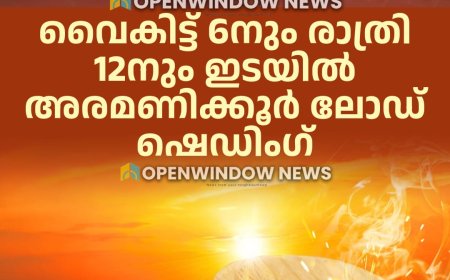 സംസ്ഥാനത്ത് ലോഡ് ഷെഡിംഗ് നടപ്പിലാക്കാന്‍ തീരുമാനം. വൈകിട്ട് 6നും രാത്രി 12നും ഇടയില്‍ അരമണിക്കൂര്‍ വരെയാണ് ലോഡ് ഷെഡിംഗിന് തീരുമാനമായിരിക്കുന്നത്.