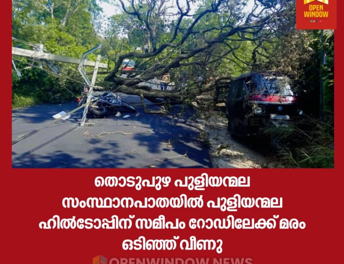 തൊടുപുഴ പുളിയന്മല സംസ്ഥാനപാതയിൽ പുളിയന്മല ഹിൽടോപ്പിന് സമീപം റോഡിലേക്ക് മരം ഒടിഞ്ഞ് വീണു. ബൈക്ക് യാത്രികൻ തലനാരിഴക്ക് ഇടയ്ക്ക് രക്ഷപ്പെട്ടു