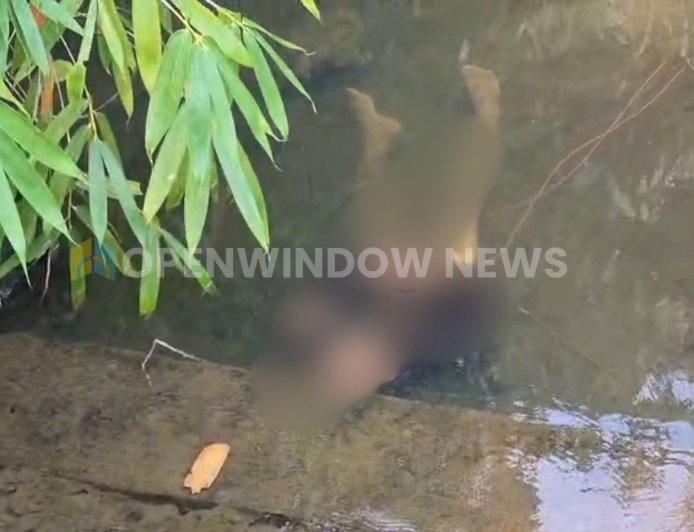 ഇടുക്കി ചാലിസിറ്റിക്ക് സമീപം തോടിൽ മദ്ധ്യവയസ്‌ക്കനെ  മരിച്ച നിലയിൽ കണ്ടെത്തി;ഉപ്പുതോട് വേലംകുന്നേൽ ജോയിയുടെ (52 ) മൃതദേഹമാണ് കണ്ടെത്തിയത്