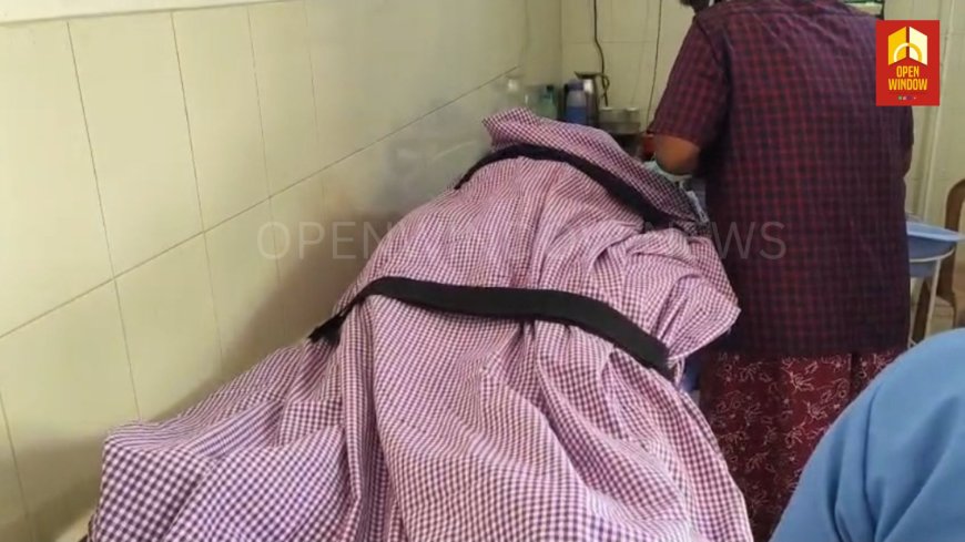 ഇടുക്കിയിൽ കടന്നൽ കുത്തേറ്റ് കർഷകൻ മരിച്ചു. തമിഴ്നാട് പണ്ണപ്പുറം സ്വദേശി ബി. സുബ്രഹ്മണിയാണ് മരിച്ചത്.