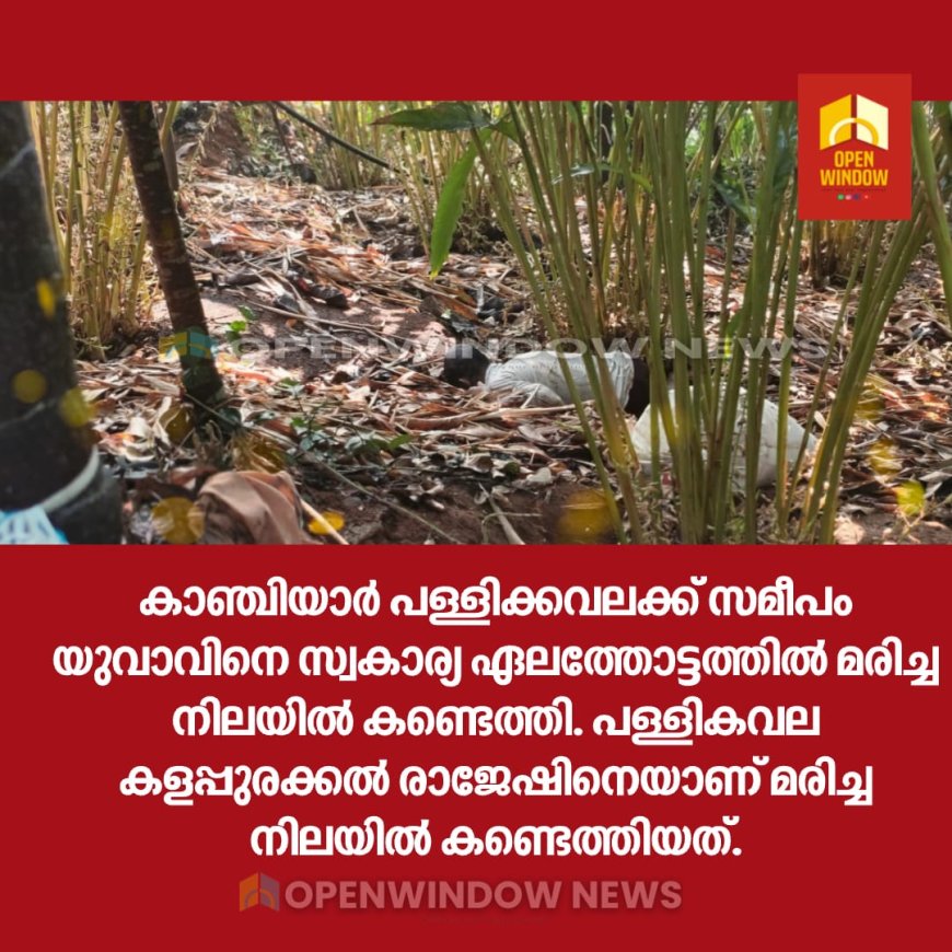 കാഞ്ചിയാർ പള്ളിക്കവലക്ക് സമീപം യുവാവിനെ സ്വകാര്യ ഏലത്തോട്ടത്തിൽ മരിച്ച നിലയിൽ കണ്ടെത്തി. പള്ളികവല കളപ്പുരക്കൽ രാജേഷിനെയാണ് മരിച്ച നിലയിൽ കണ്ടെത്തിയത്.