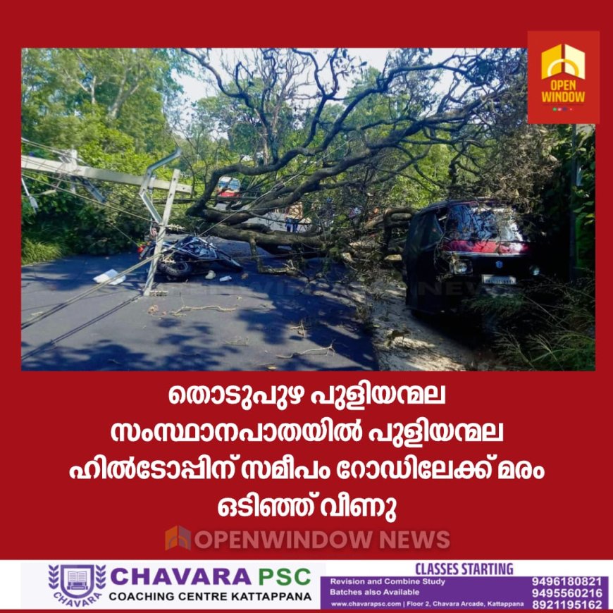 തൊടുപുഴ പുളിയന്മല സംസ്ഥാനപാതയിൽ പുളിയന്മല ഹിൽടോപ്പിന് സമീപം റോഡിലേക്ക് മരം ഒടിഞ്ഞ് വീണു. ബൈക്ക് യാത്രികൻ തലനാരിഴക്ക് ഇടയ്ക്ക് രക്ഷപ്പെട്ടു