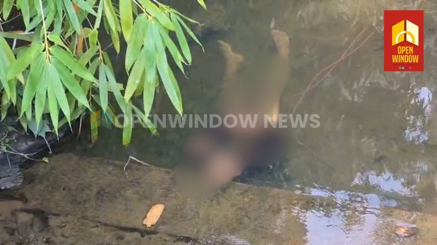 ഇടുക്കി ചാലിസിറ്റിക്ക് സമീപം തോടിൽ മദ്ധ്യവയസ്‌ക്കനെ  മരിച്ച നിലയിൽ കണ്ടെത്തി;ഉപ്പുതോട് വേലംകുന്നേൽ ജോയിയുടെ (52 ) മൃതദേഹമാണ് കണ്ടെത്തിയത്