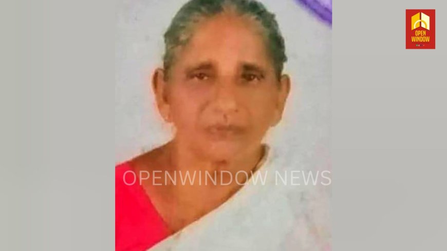 ഇടുക്കിയിൽ വയോധിക
പാമ്പുകടിയേറ്റ് മരിച്ചു.  കാഞ്ഞാർ താനിയ്ക്കപാറയിൽ
വിശാലാക്ഷിയാണ്  മരിച്ചത്