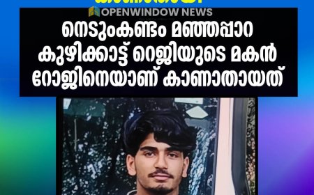 അയ്യപ്പൻകോവിൽ തൂക്കുപാലത്തിന് സമീപം വിനോദ സഞ്ചാരത്തിനെത്തിയ യുവാക്കളിൽ ഒരാളെ പെരിയാറ്റിൽ കാണാതായി.