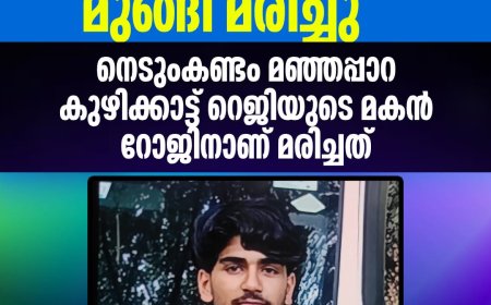 അയ്യപ്പൻകോവിൽ തൂക്കുപാലത്തിന് സമീപം വിനോദ സഞ്ചാരത്തിനെത്തിയ യുവാവ് പെരിയാറ്റിൽ മുങ്ങി മരിച്ചു.