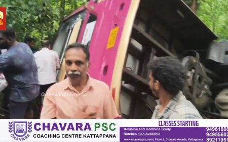 ഇടുക്കി നേര്യമംഗലത്തിന് അടുത്ത് കരിമണലിൽ ബസ് ലോറിക്ക് പിന്നിലിടിച്ച് മറിഞ്ഞു. നേര്യമംഗലം വനത്തിൻ്റെ അരികിലേക്കാണ് മറിഞ്ഞത്.