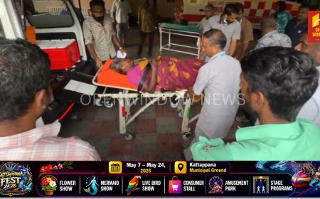 ഇടുക്കി ചിന്നക്കനാൽ  പെരിയകനാലിൽ വാഹനാപകടം; ഒരാൾ മരിച്ചു