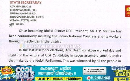 ഇടുക്കി ഡിസിസി  പ്രസിഡന്റിനെതിരെ പരാതിയുമായി യൂത്ത് കോൺഗ്രസ്