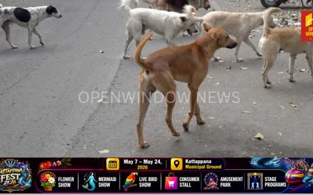 മനുഷ്യ ജീവന് ഭീഷണിയാകുന്ന നായ്ക്കളെ കൊല്ലാം; നിർണായക ഉത്തരവുമായി സുപ്രീം കോടതി