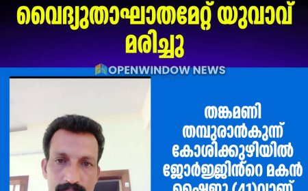 ലോറിയിൽ തടികയറ്റുന്നതിനിടയിൽ വൈദ്യുതാഘാതമേറ്റ് യുവാവ് മരിച്ചു;
തങ്കമണി തമ്പുരാൻകുന്ന് കോശിക്കുഴിയിൽ ജോർജ്ജിൻ്റെ മകൻ ഷൈജു (41)വാണ് മരിച്ചത്.