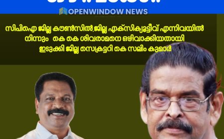 സിപിഐ ജില്ല കൗൺസിൽ,ജില്ല എക്സിക്യൂട്ടീവ് എന്നിവയിൽ നിന്നും   കെ കെ ശിവരാമനെ ഒഴിവാക്കിയതായി  ഇടുക്കി ജില്ല സെക്രട്ടറി കെ സലിം കുമാർ
