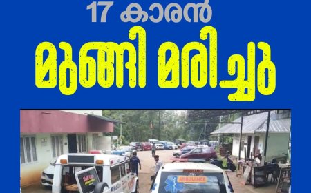 സഹോദരനൊപ്പം മീൻ പിടിക്കാൻ ഇറങ്ങി; ഇടുക്കി പെരിയാർവാലിയിൽ 17 കാരൻ മുങ്ങി മരിച്ചു